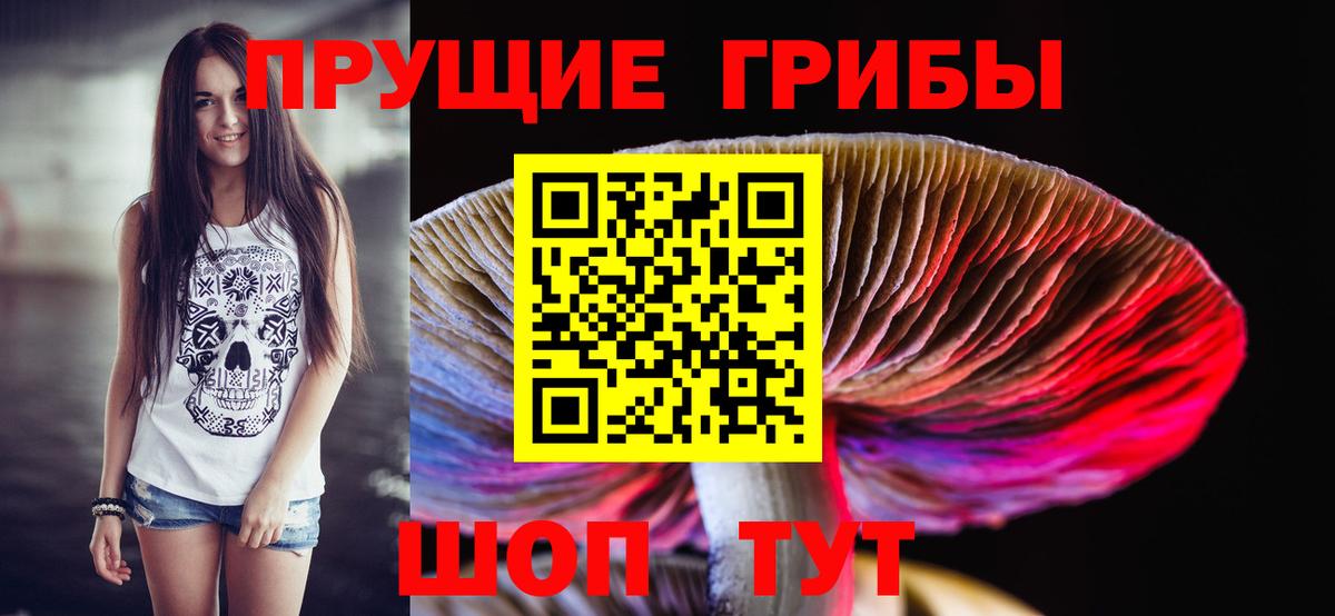 Псилоцибиновые грибы Cubensis  Вход с VPN  Псилоцибиновые грибы MAGIC MUSHROOMS  Анжеро-Судженск 